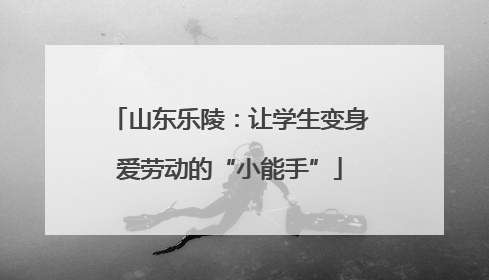 山东乐陵：让学生变身爱劳动的“小能手”