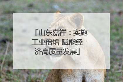 山东嘉祥：实施工业倍增 赋能经济高质量发展