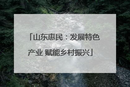 山东惠民：发展特色产业 赋能乡村振兴