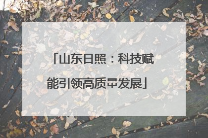 山东日照：科技赋能引领高质量发展