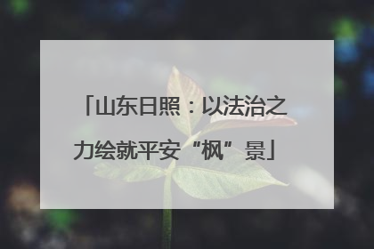 山东日照：以法治之力绘就平安“枫”景