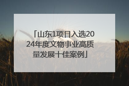 山东1项目入选2024年度文物事业高质量发展十佳案例