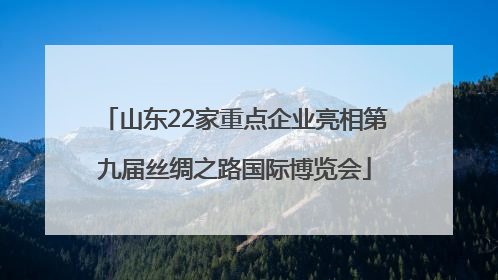 山东22家重点企业亮相第九届丝绸之路国际博览会