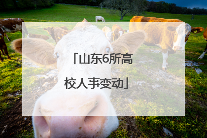 山东6所高校人事变动