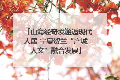 山海经奇境邂逅现代人居 宁夏贺兰“产城人文”融合发展