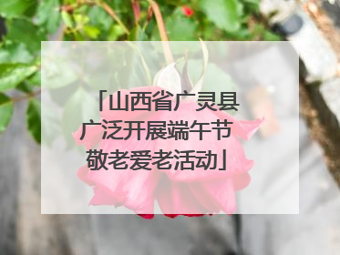 山西省广灵县广泛开展端午节敬老爱老活动