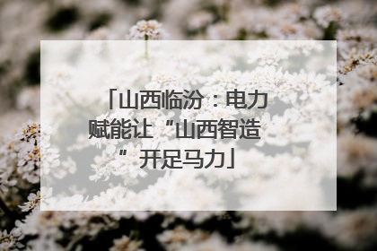 山西临汾：电力赋能让“山西智造”开足马力