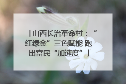 山西长治革命村：“红绿金”三色赋能 跑出富民“加速度”
