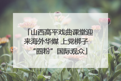 山西高平戏曲课堂迎来海外华媒 上党梆子“圈粉”国际观众
