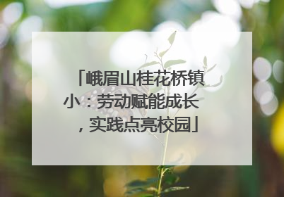 峨眉山桂花桥镇小：劳动赋能成长，实践点亮校园