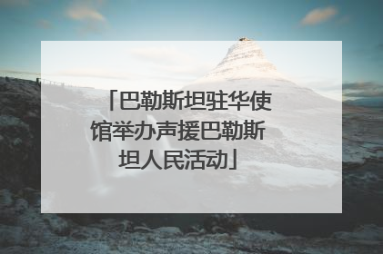 巴勒斯坦驻华使馆举办声援巴勒斯坦人民活动