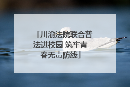 川渝法院联合普法进校园 筑牢青春无毒防线