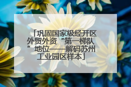 巩固国家级经开区外贸外资“第一梯队”地位——解码苏州工业园区样本