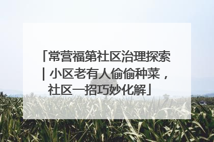 常营福第社区治理探索｜小区老有人偷偷种菜，社区一招巧妙化解