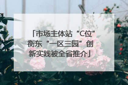 市场主体站“C位” 衡东“一区三园”创新实践被全省推介