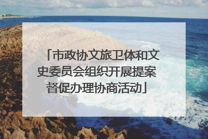 市政协文旅卫体和文史委员会组织开展提案督促办理协商活动