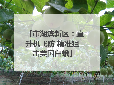 市湖滨新区：直升机飞防 精准狙击美国白蛾