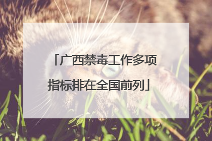 广西禁毒工作多项指标排在全国前列