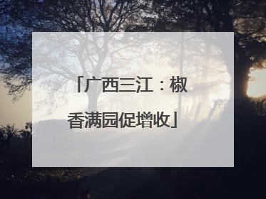 广西三江：椒香满园促增收
