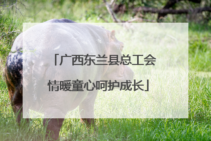 广西东兰县总工会情暖童心呵护成长