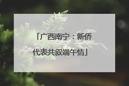 广西南宁：新侨代表共叙端午情