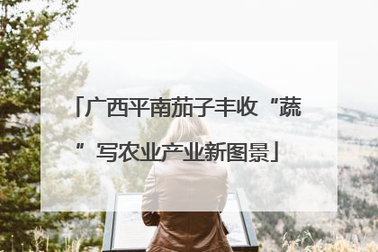 广西平南茄子丰收“蔬”写农业产业新图景