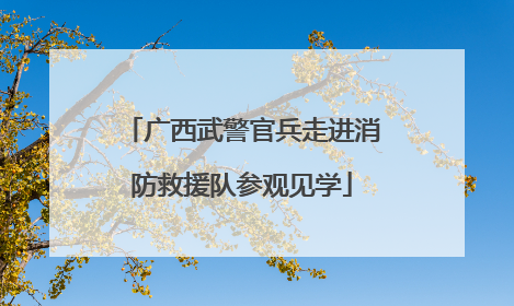 广西武警官兵走进消防救援队参观见学