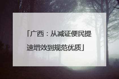 广西：从减证便民提速增效到规范优质