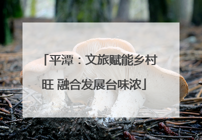 平潭：文旅赋能乡村旺 融合发展台味浓