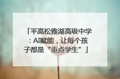 平高松雅湖高级中学：AI赋能，让每个孩子都是“重点学生”