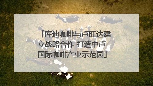 库迪咖啡与卢旺达建立战略合作 打造中卢国际咖啡产业示范园