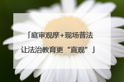 庭审观摩+现场普法 让法治教育更“直观”