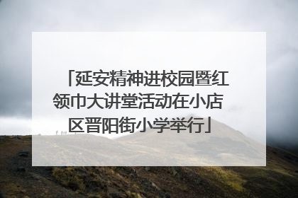 延安精神进校园暨红领巾大讲堂活动在小店区晋阳街小学举行
