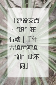 建设支点·“镇”在行动｜千年古镇匡河镇“油”此不同