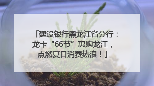 建设银行黑龙江省分行：龙卡“66节”惠购龙江，点燃夏日消费热浪！