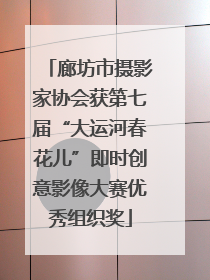 廊坊市摄影家协会获第七届“大运河春花儿”即时创意影像大赛优秀组织奖
