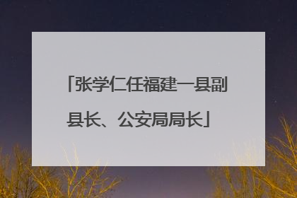 张学仁任福建一县副县长、公安局局长
