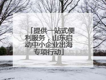 提供一站式便利服务，山东启动中小企业出海专项行动