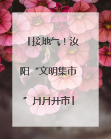 接地气！汝阳“文明集市”月月开市