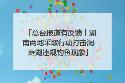 总台报道有反馈丨湖南两地采取行动打击洞庭湖违规钓鱼现象