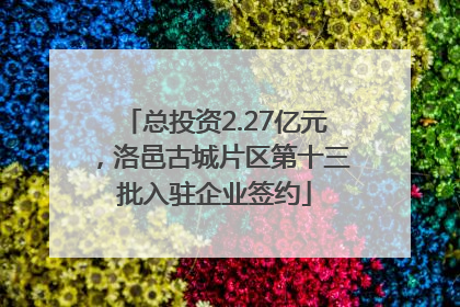 总投资2.27亿元，洛邑古城片区第十三批入驻企业签约