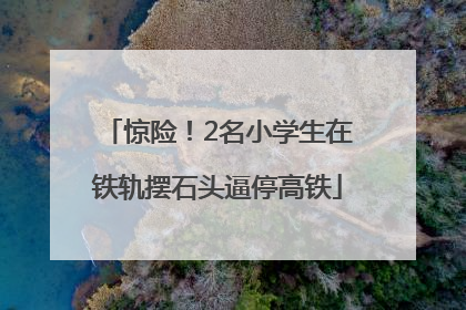 惊险！2名小学生在铁轨摆石头逼停高铁