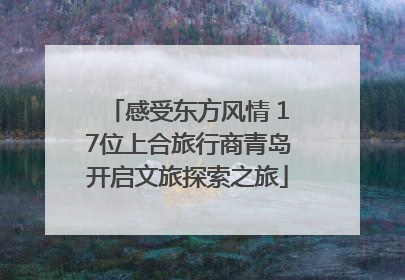 感受东方风情 17位上合旅行商青岛开启文旅探索之旅