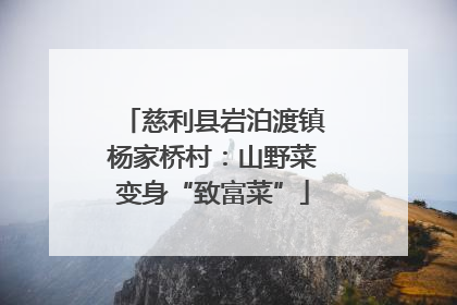 慈利县岩泊渡镇杨家桥村：山野菜变身“致富菜”