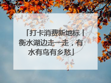 打卡消费新地标丨衡水湖边走一走，有水有鸟有乡愁