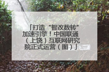 打造“智改数转”加速引擎！中国联通（上饶）互联网研究院正式运营（图）