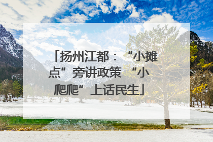 扬州江都：“小摊点”旁讲政策 “小爬爬”上话民生