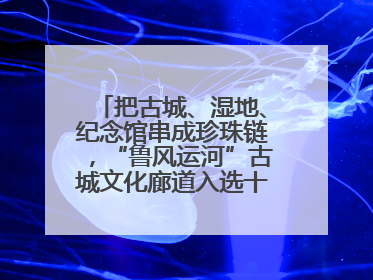 把古城、湿地、纪念馆串成珍珠链，“鲁风运河”古城文化廊道入选十大最美农村路