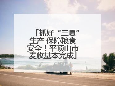 抓好“三夏”生产 保障粮食安全！平顶山市麦收基本完成