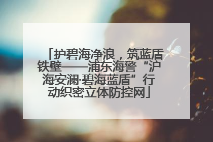 护碧海净浪，筑蓝盾铁壁——浦东海警“沪海安澜·碧海蓝盾”行动织密立体防控网